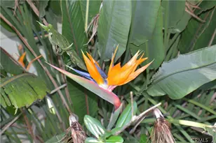 18 Oak Hill, Oroville, CA 95966 - Photo 49