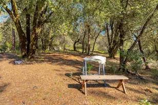 179 Elams Ranch, Oroville, CA 95966 - Photo 39