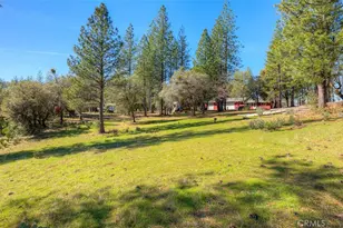 179 Elams Ranch, Oroville, CA 95966 - Photo 35