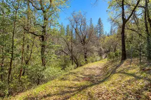 179 Elams Ranch, Oroville, CA 95966 - Photo 47