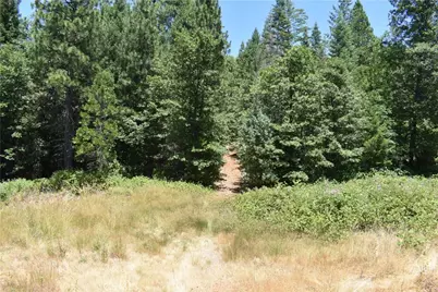 11605 La Porte Road, Clipper Mills, CA 95925 - Photo 9