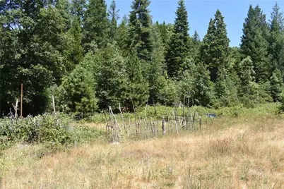 11605 La Porte Road, Clipper Mills, CA 95925 - Photo 7