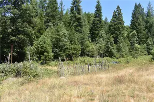 11605 La Porte Rd, Clipper Mills, CA 95925 - Photo 7