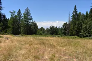 11605 La Porte Rd, Clipper Mills, CA 95925 - Photo 5