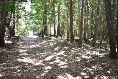 11605 La Porte Road, Clipper Mills, CA 95925 - Photo 43