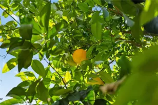 5386 Royal Oaks, Oroville, CA 95966 - Photo 51