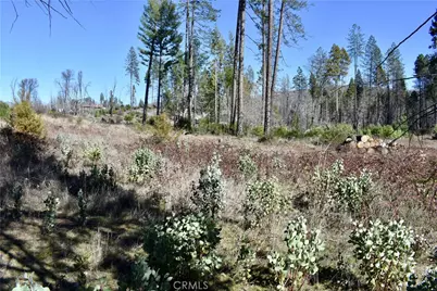 20 Meadow Lane, Berry Creek, CA 95916 - Photo 3