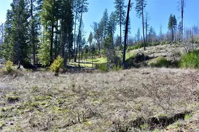 20 Meadow Lane, Berry Creek, CA 95916 - Photo 9