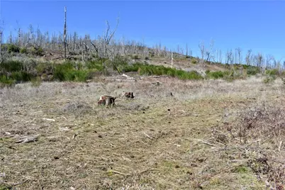 20 Meadow Lane, Berry Creek, CA 95916 - Photo 49