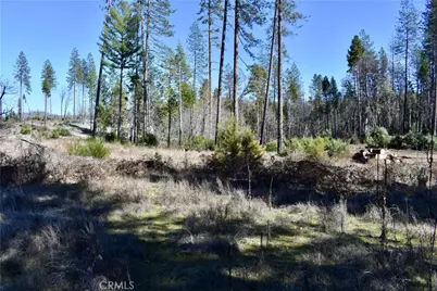 20 Meadow Lane, Berry Creek, CA 95916 - Photo 7