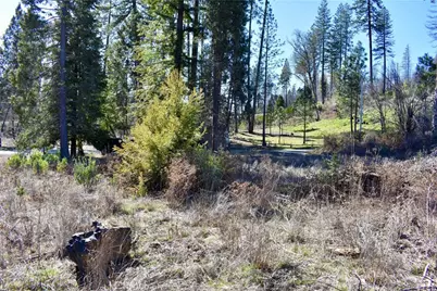 20 Meadow Lane, Berry Creek, CA 95916 - Photo 51