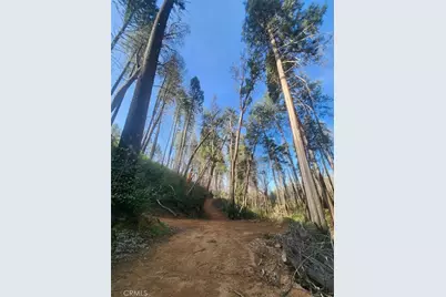 11691 Oro Quincy Highway, Berry Creek, CA 95916 - Photo 39