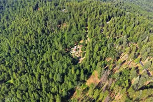 19449 Oroville Forbestown, Oroville, CA 95966 - Photo 49