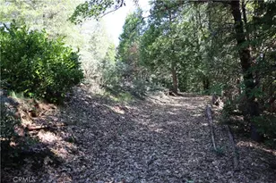 19449 Oroville Forbestown, Oroville, CA 95966 - Photo 73