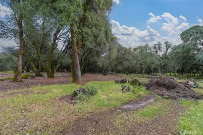 1768 Swedes Flat Road, Bangor, CA 95914 - Photo 49