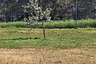 6250 Custer Ln, Palermo, CA 95966 - Photo 11