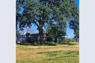 6250 Custer Lane, Palermo, CA 95966 - Photo 9