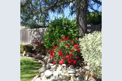 2330 Las Plumas, Oroville, CA 95966 - Photo 47
