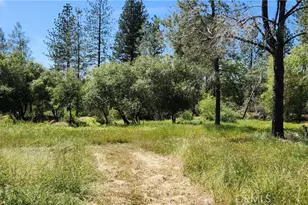 89 Crystal Pines, Oroville, CA 95965 - Photo 35