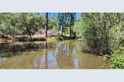 89 Crystal Pines, Oroville, CA 95965 - Photo 41