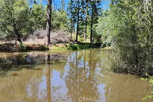89 Crystal Pines, Oroville, CA 95965 - Photo 41