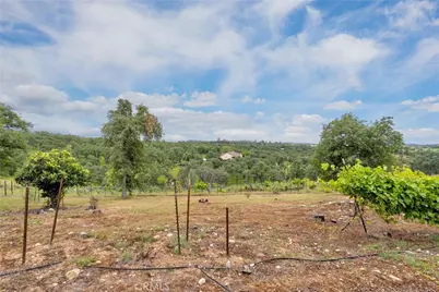 150 Whitney Court, Oroville, CA 95966 - Photo 41