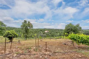 150 Whitney Ct, Oroville, CA 95966 - Photo 41