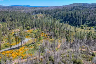 0 Pavlik Pines Road, Berry Creek, CA 95916 - Photo 9