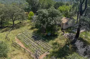 12 Cougar Ct, Oroville, CA 95966 - Photo 3