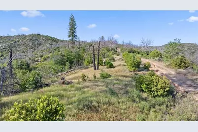 0 Eckards, Berry Creek, CA 95916 - Photo 3