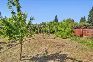 1875 Sycamore St, Gridley, CA 95948 - Photo 53
