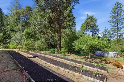 40 White Fir, Oroville, CA 95966 - Photo 45