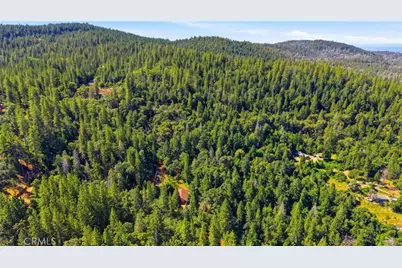 40 White Fir, Oroville, CA 95966 - Photo 53