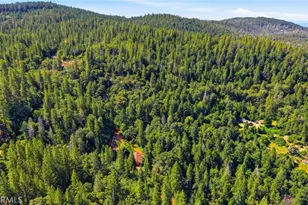 40 White Fir, Oroville, CA 95966 - Photo 53
