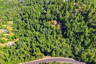 40 White Fir, Oroville, CA 95966 - Photo 51