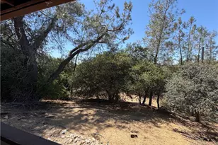 520 Black Bart, Oroville, CA 95966 - Photo 15