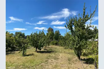 1919 20th, Oroville, CA 95965 - Photo 11