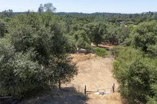 391 Mt Ida, Oroville, CA 95966 - Photo 15