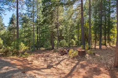 10647 Forbestown Road, Challenge, CA 95925 - Photo 65