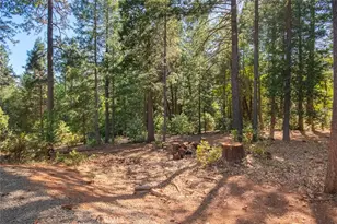 10647 Forbestown Rd, Challenge, CA 95925 - Photo 65