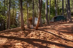 10647 Forbestown, Challenge, CA 95925 - Photo 49