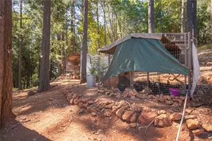 10647 Forbestown, Challenge, CA 95925 - Photo 67
