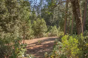 10647 Forbestown, Challenge, CA 95925 - Photo 61