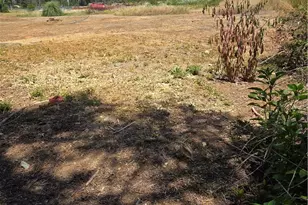 1572 Adams Rd, Paradise, CA 95969 - Photo 1