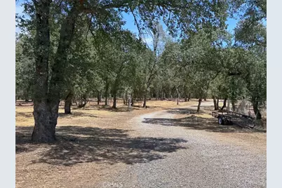 8190 Grier Ave, Oroville, CA 95966 - Photo 19