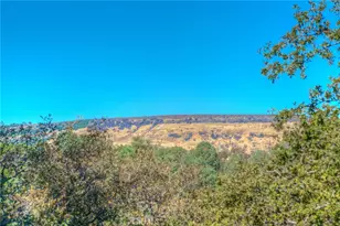 3 Lemon Hill Ct, Oroville, CA 95966 - Photo 67