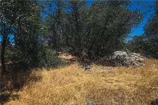 6070 Old Olive, Oroville, CA 95966 - Photo 37