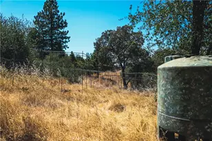 6070 Old Olive, Oroville, CA 95966 - Photo 29