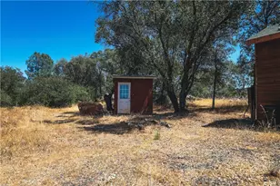 6070 Old Olive, Oroville, CA 95966 - Photo 47