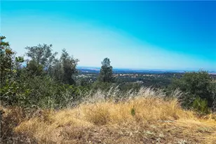 6070 Old Olive, Oroville, CA 95966 - Photo 43